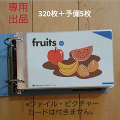 ペッピーキッズクラブ ピクチャーカード収納袋(リフィル) 約406枚