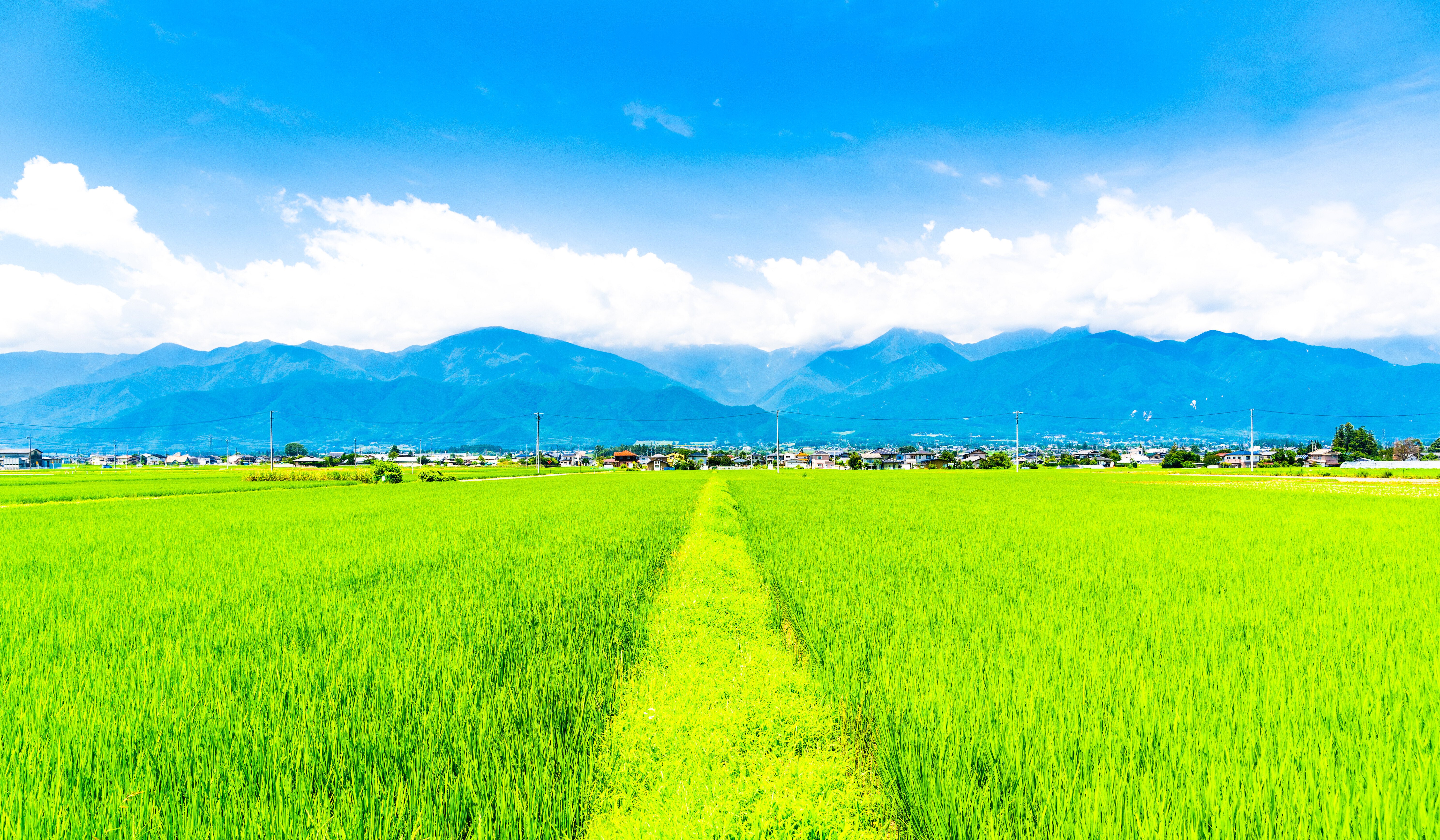 安曇野風景 ススキの候