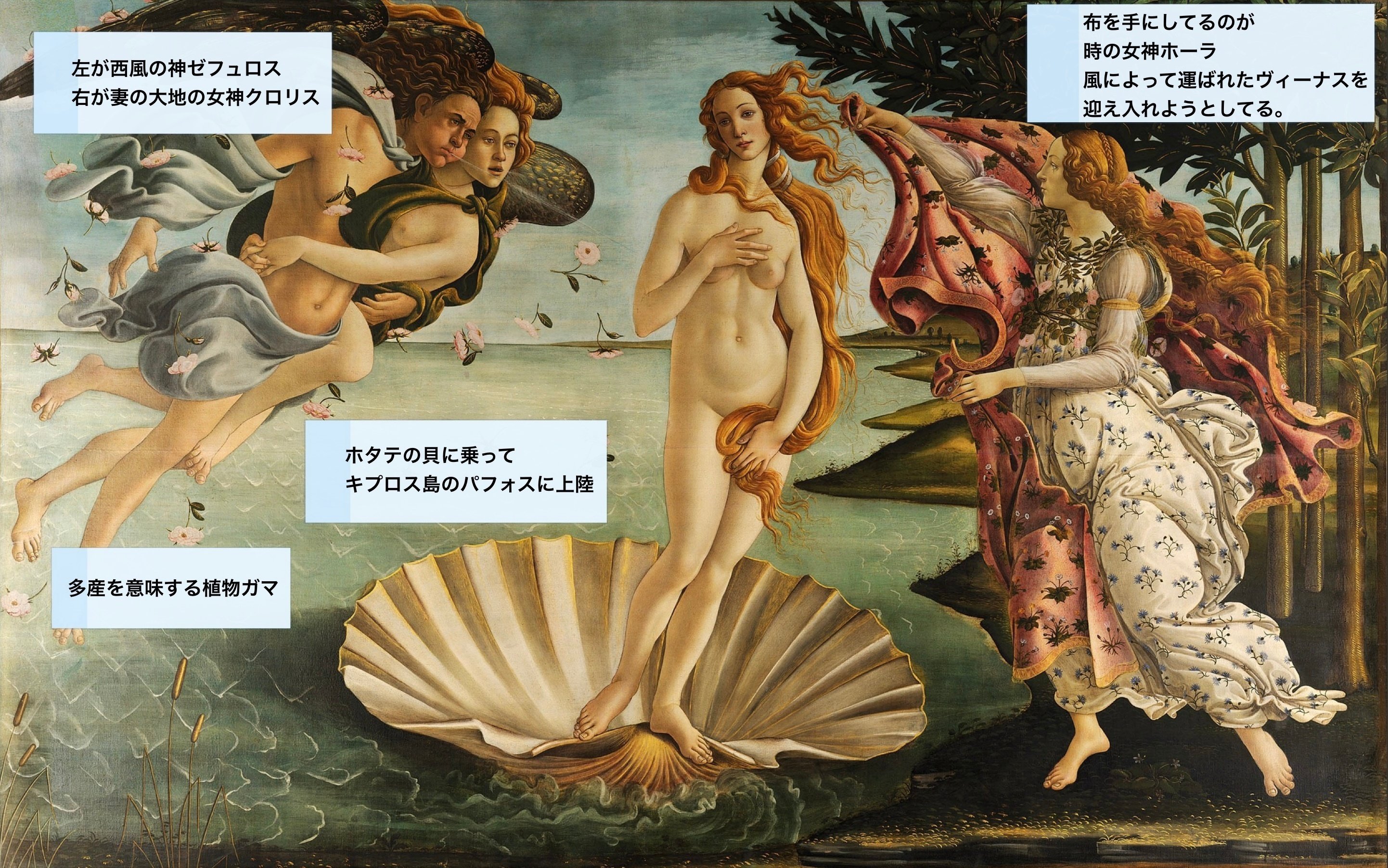 太田商店 破格！ヴィーナス 誕生 ボッティチェリプリント絵画 太田商店