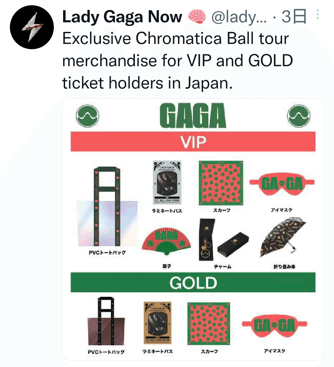 Lady Gaga ライブ VIP Gold ガガ グッズ 特典 セット Lady Gaga VIP