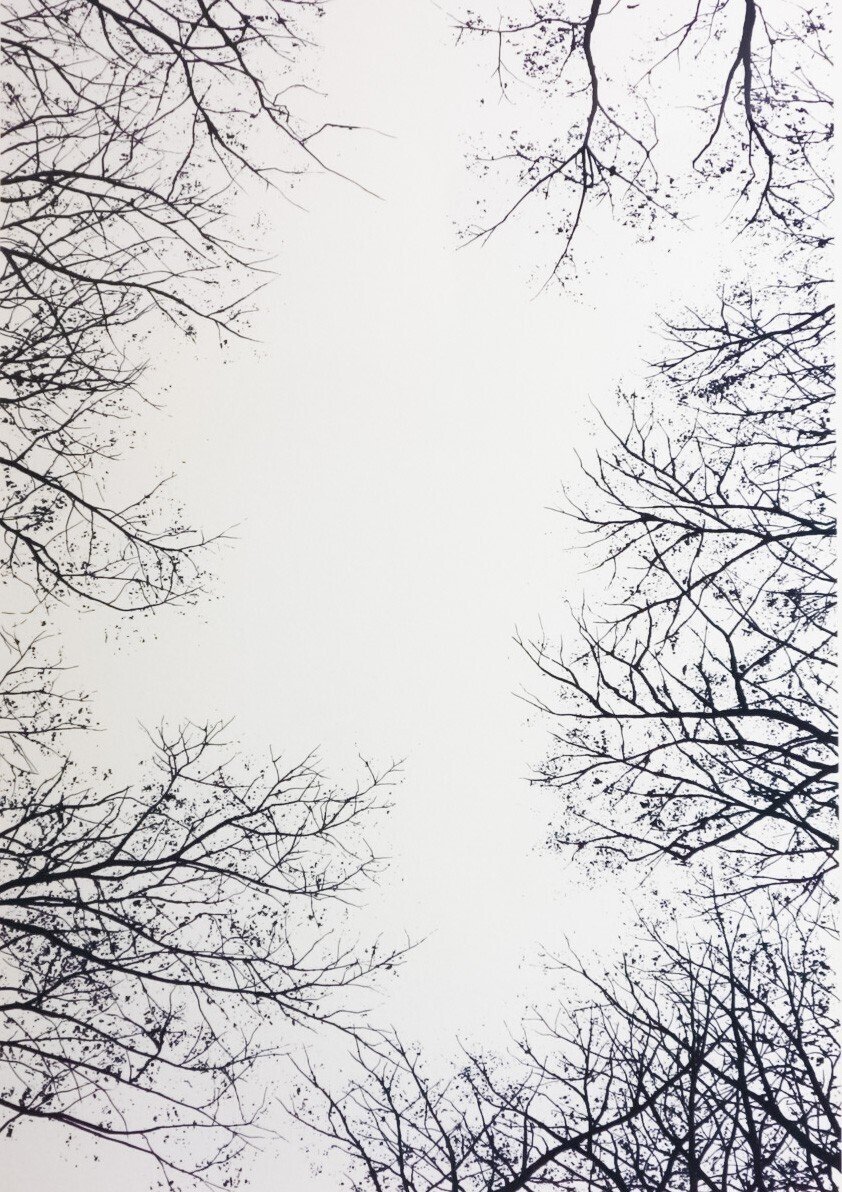 原画【富岡惣一郎】 早春・梢 けやき林 八海山 白の世界 文化村 i