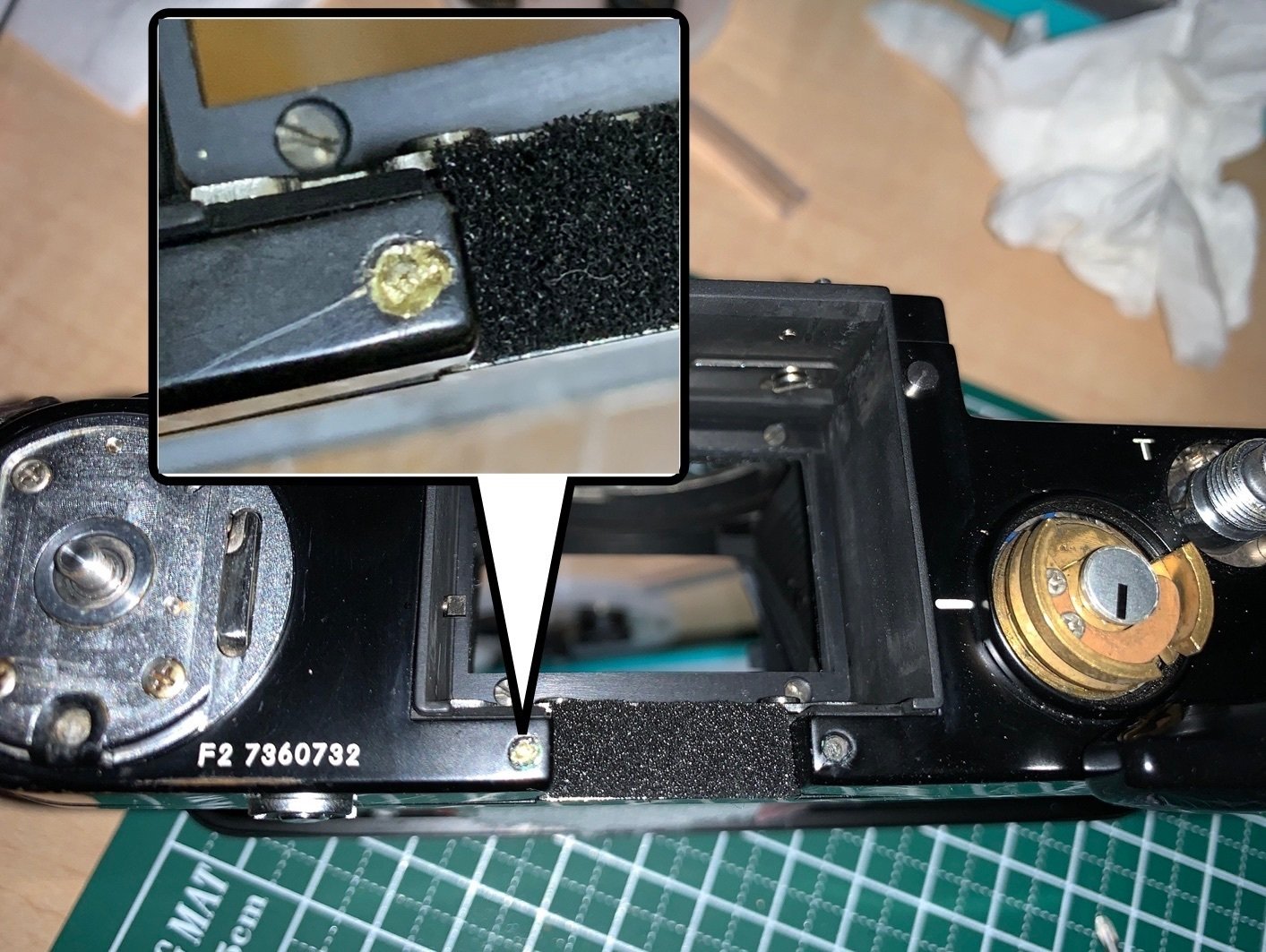 賭博黙示録ジャンク 復活のF2｜オダギリサトシ