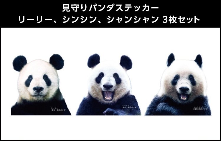 松坂屋 ハッピーパンダフルディズ 5枚セット 松坂屋 ハッピーパンダ