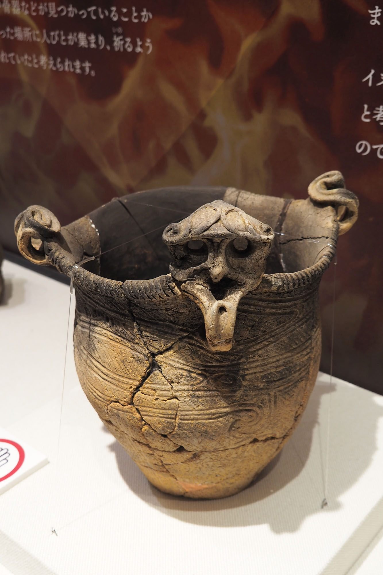 縄文土器と貝塚の貝 縄文土器と貝塚の貝 A32 古作貝塚出土の貝輪入り蓋