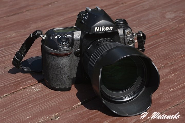 ニコンF6 Fシリーズ最後のフラッグシップ機｜渡邊博士