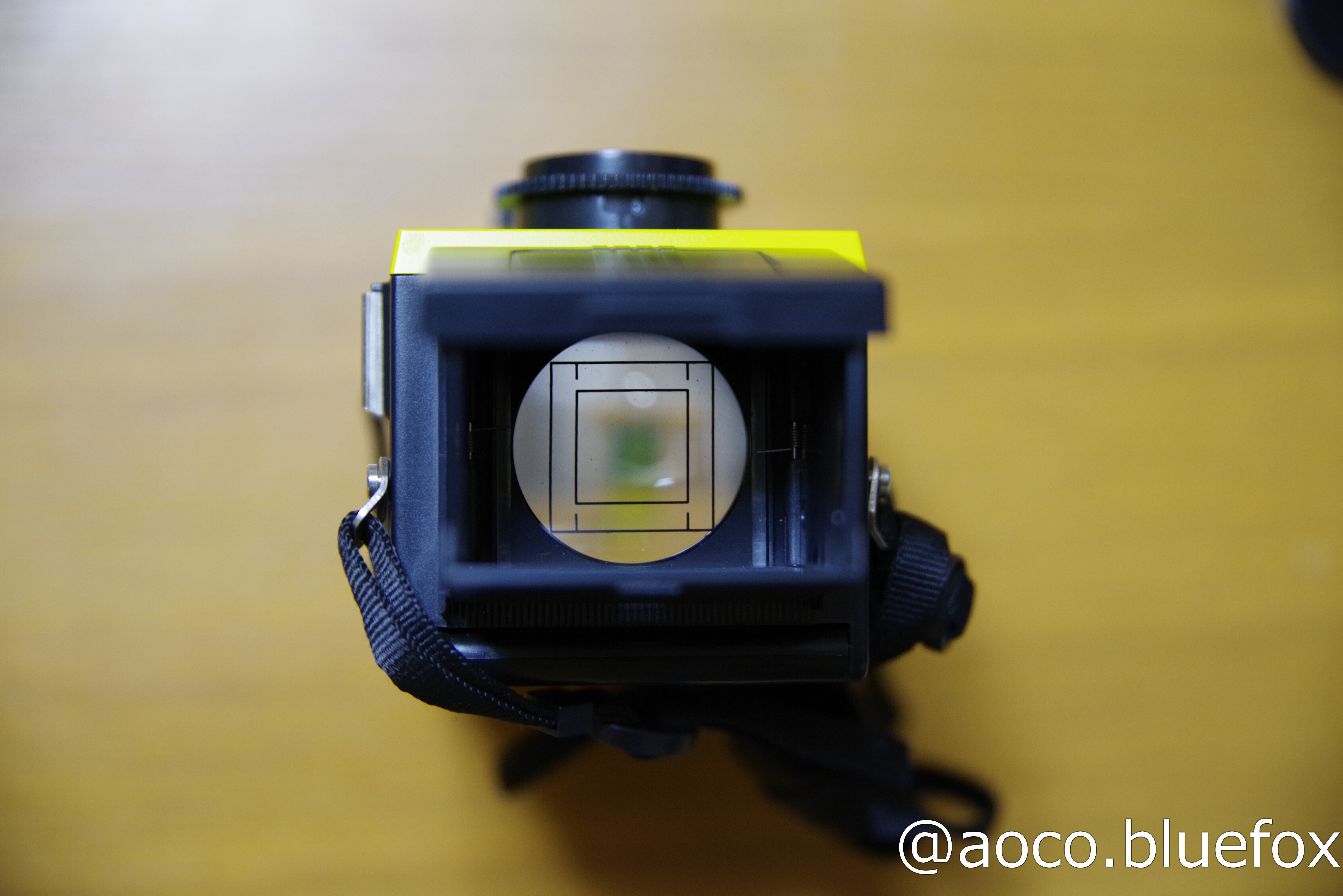 フィルムカメラに思いを馳せて その1:Blackbird,Fly｜青狐