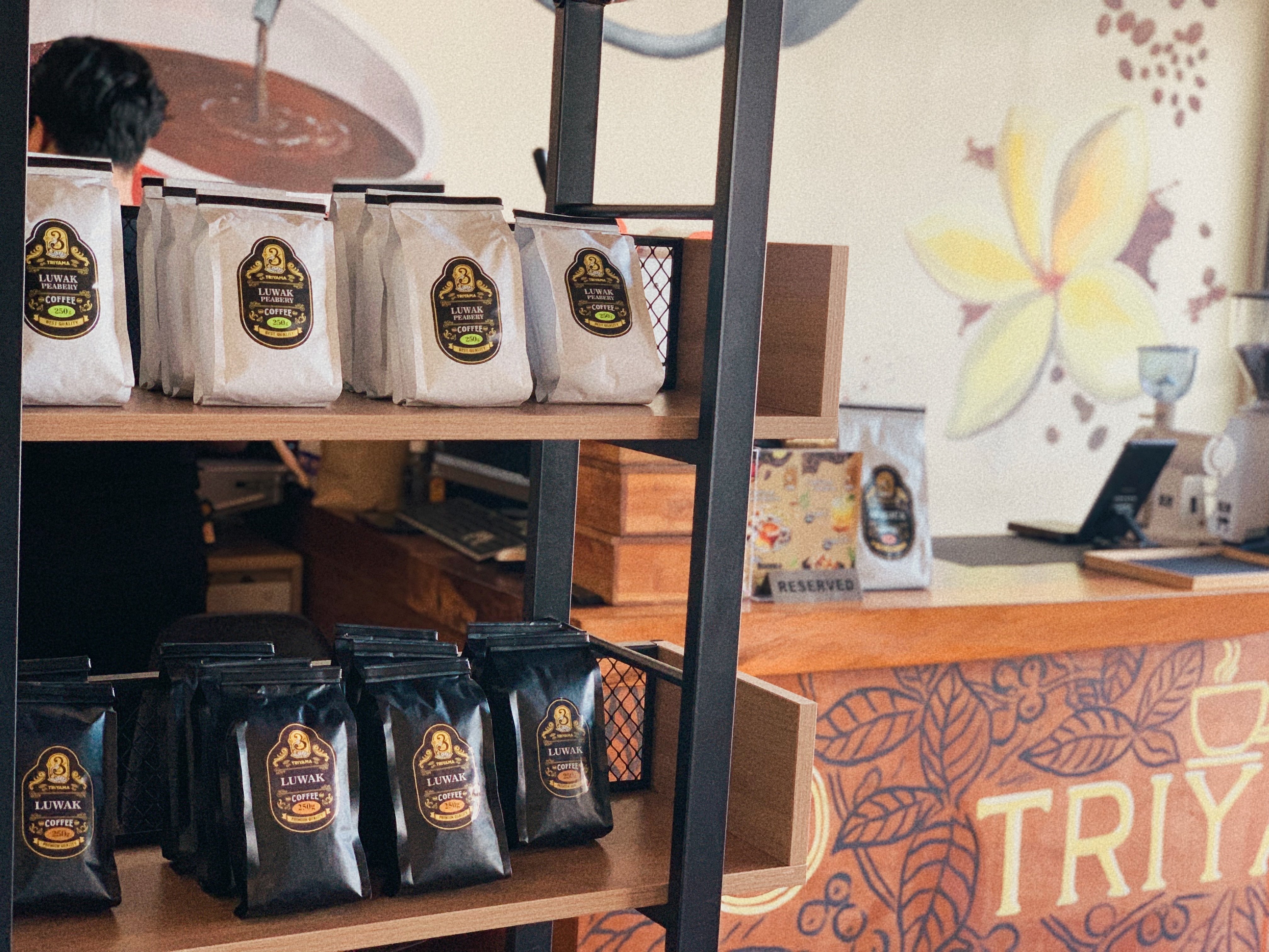 インドネシアで高級ジャコウネココーヒーのお店に連れて行かれた話｜mayu