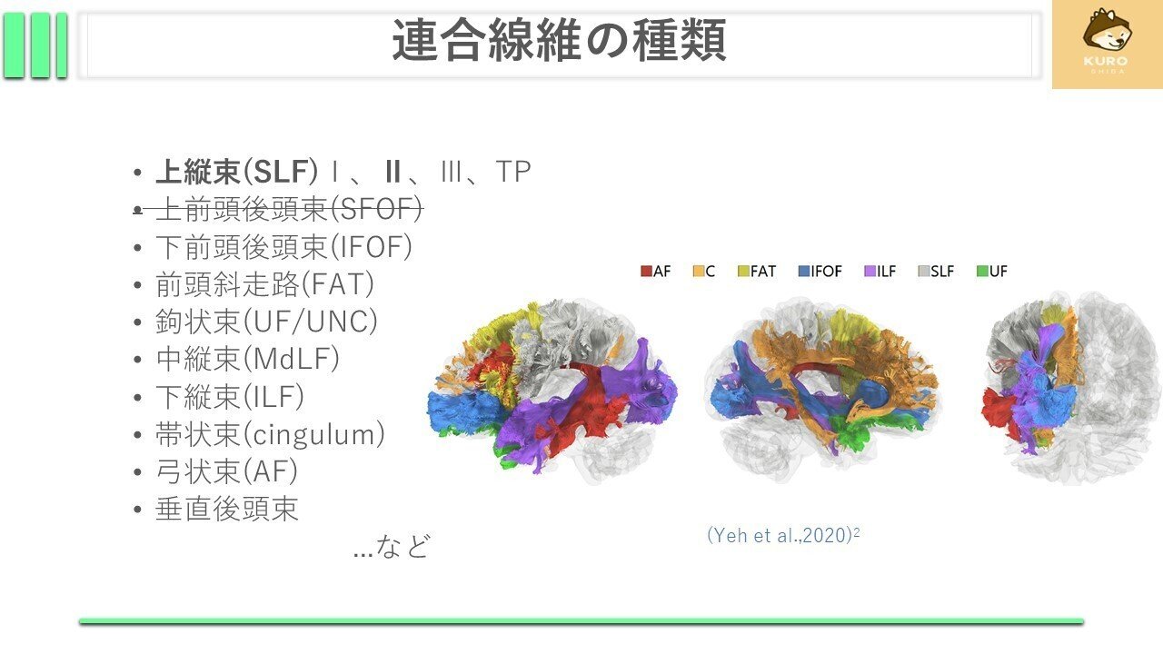 上縦束Ⅱについて｜くろ 作業療法士