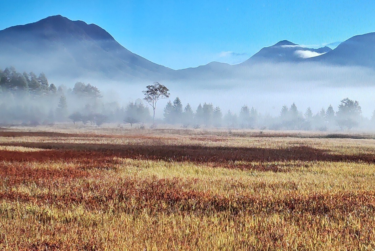 油彩 日光戦場ヶ原の貴婦人 栃木の本気（その3）奥日光の紅葉