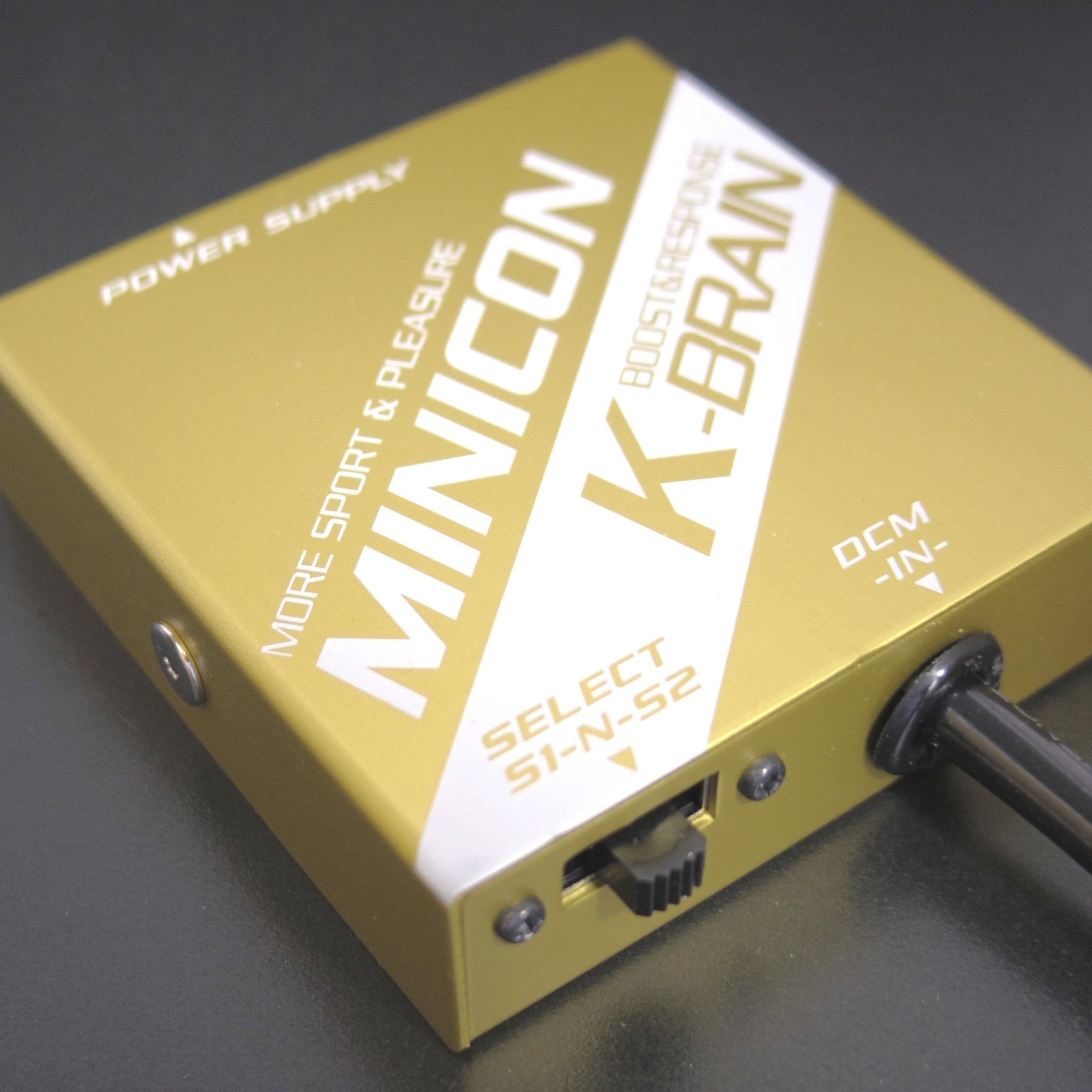 なかがわ寛奈 アクリル 「仮面と鬱憤」 なかがわ寛奈 アクリル 「仮面