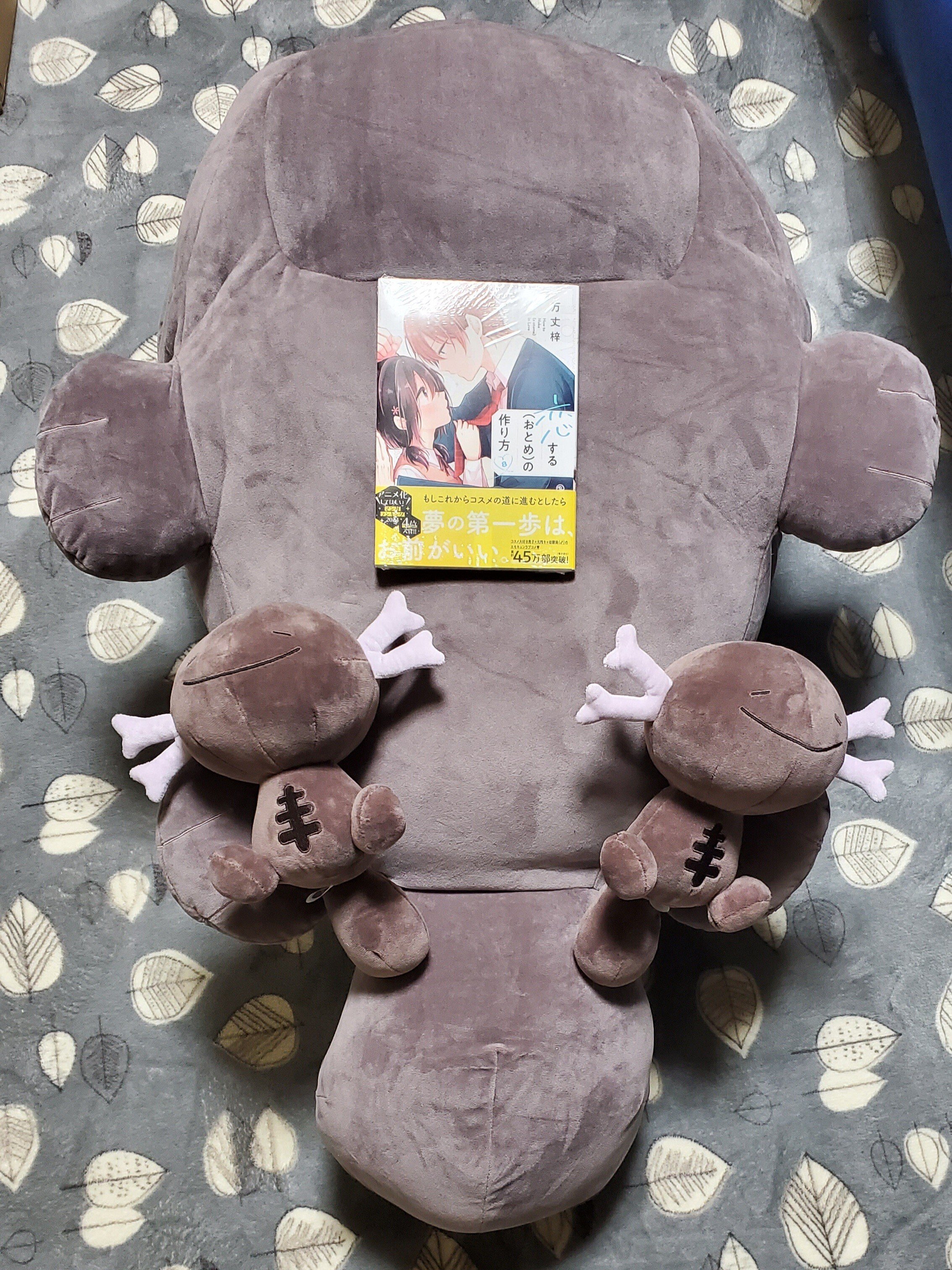 いやされドオーぬいぐるみ たくさん癒されたいパルデアウパー10体増量