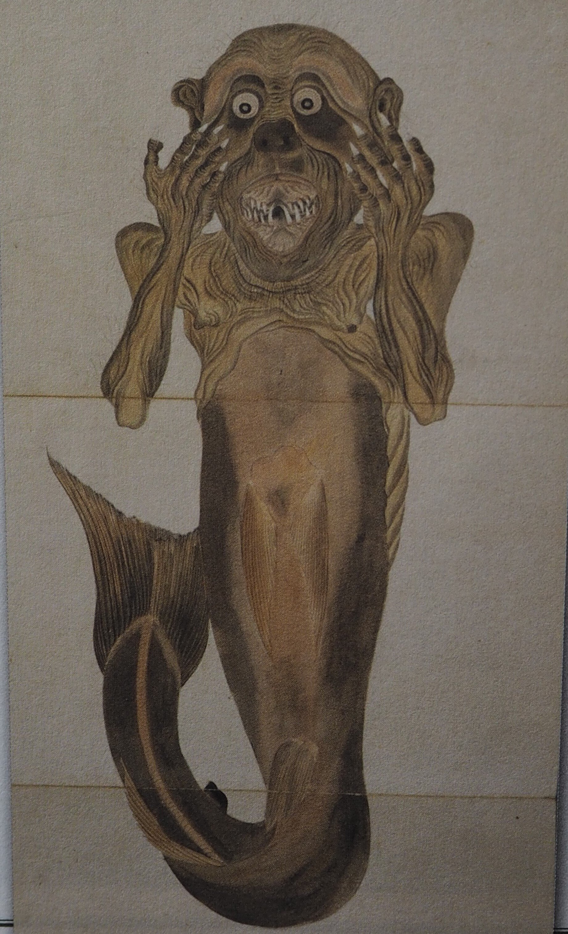 南海トラフ地震で消えた集落。八百比丘尼は土佐に帰った？｜中山道雄