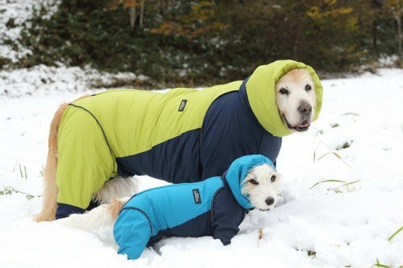 166 犬の防寒着！Hurtta(フルッタ)のボディウォーマーを買ってみたよ