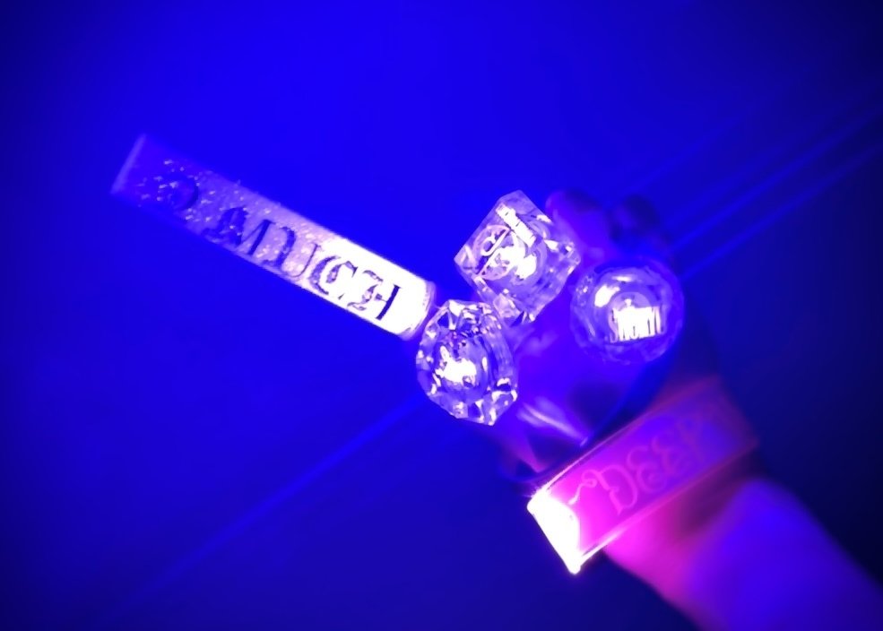 龍宮城 公式 ペンライト