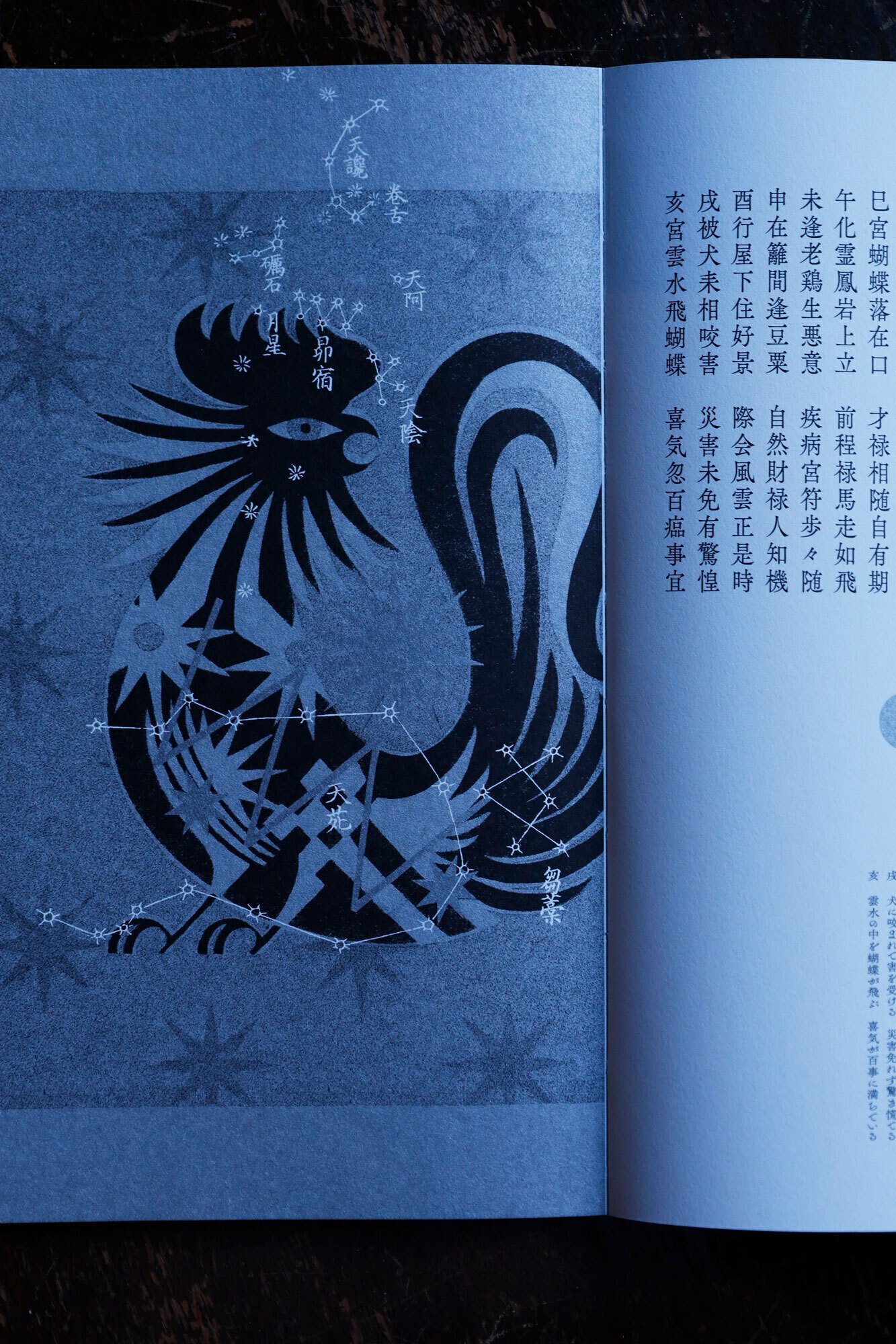 恵文社一乗寺店 9月の本の話 2024｜恵文社 | 本にまつわるあれこれのお店