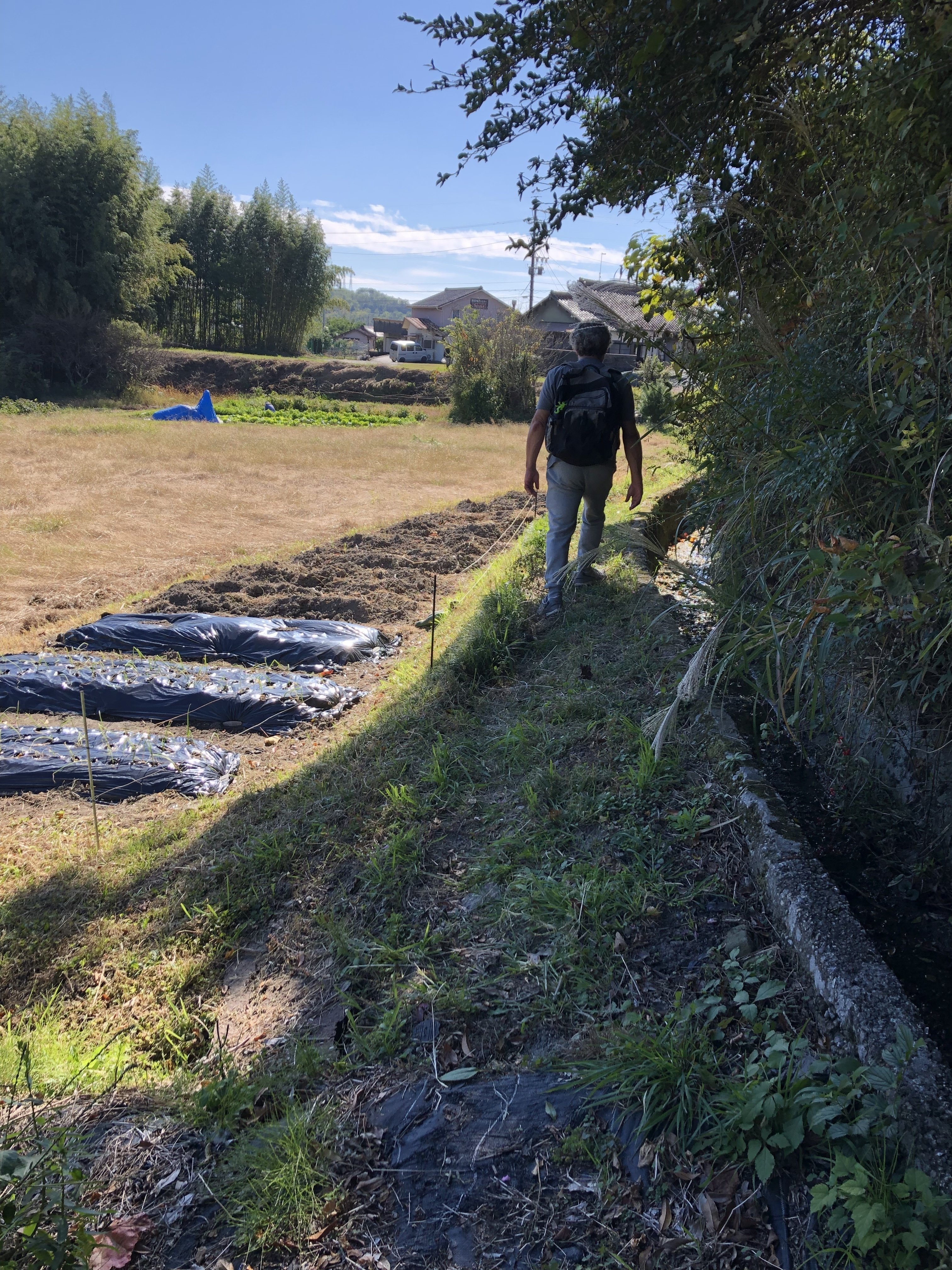 秋の赤津窯の里巡り」で出会った器｜うじかぽ