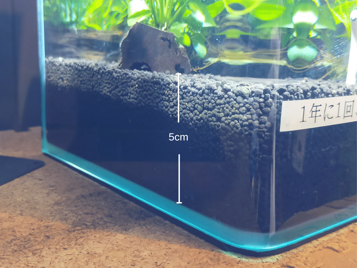 水槽 120cm W120×D45×H45 厚み10mm 専用品 水槽 120cm W120×D45