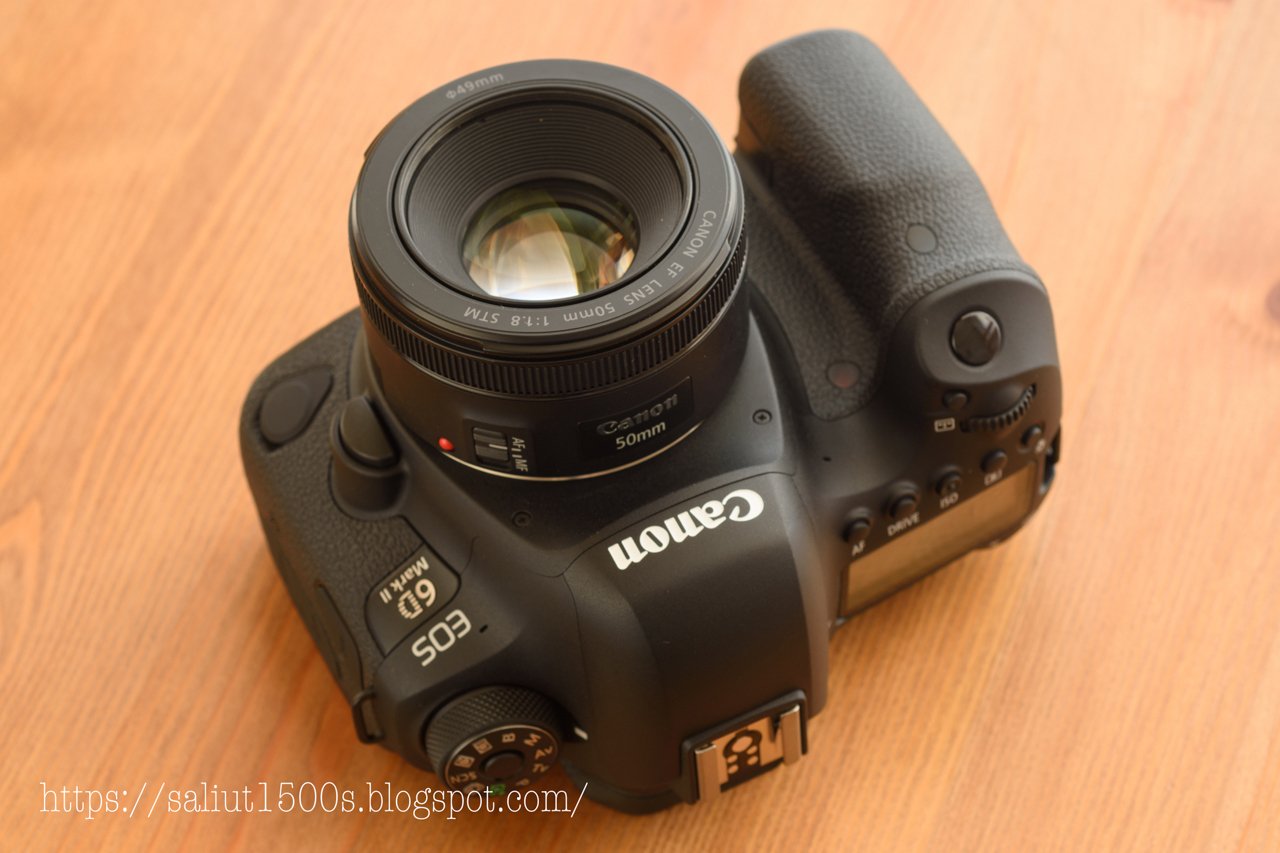 キヤノンEFレンズ】キヤノンEF50mm F1.8 STMがすごく好き｜アキヤマカヲル