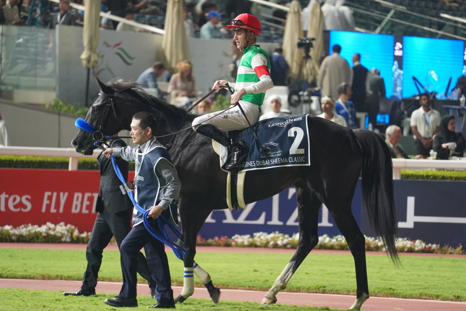 ソウルラッシュ 世界限定 ホースレーシングカード 競馬 ドバイターフ