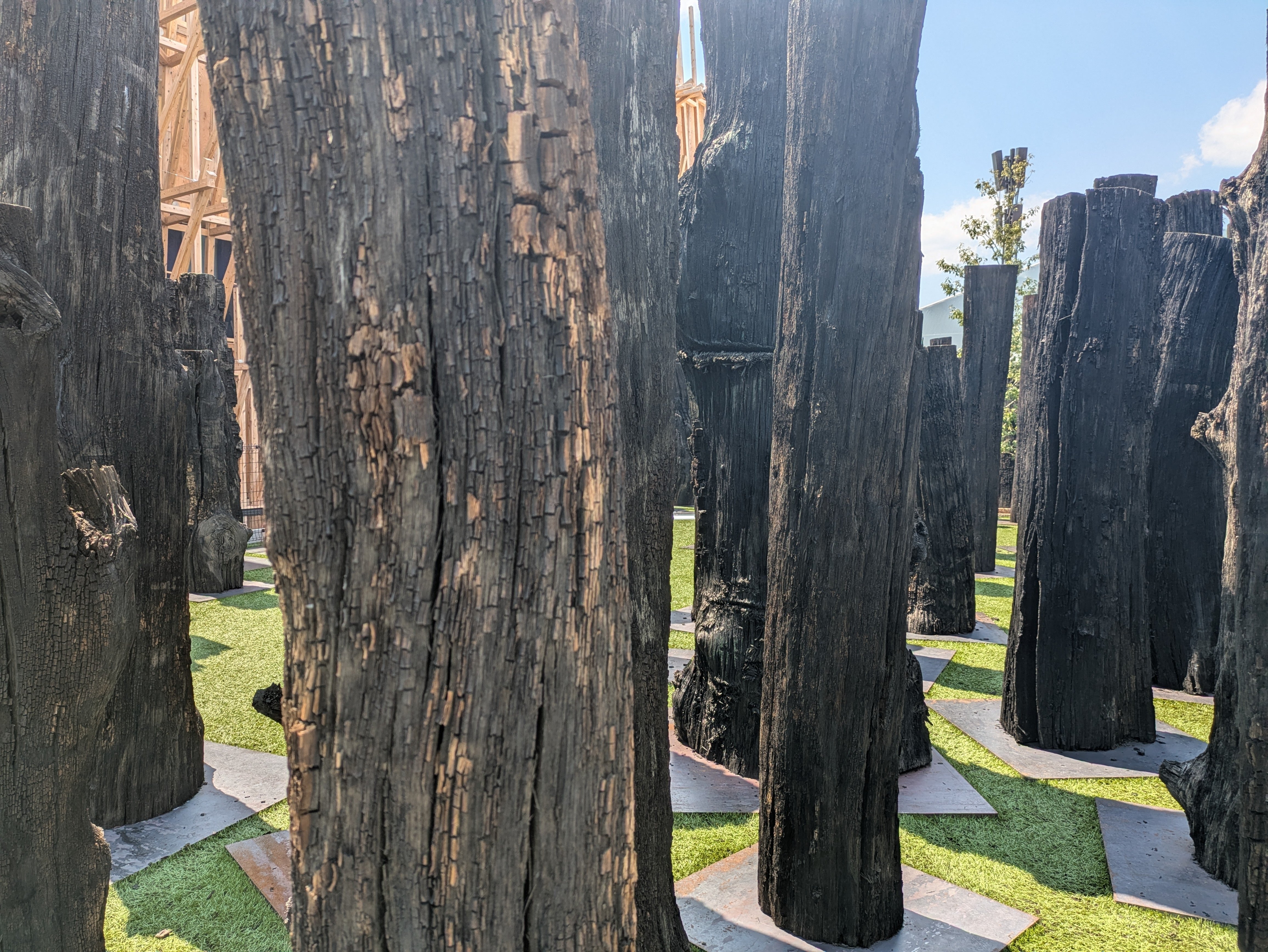 大阪関西万博 チェコパビリオン 非売品 文明の森写真集 大阪関西万博