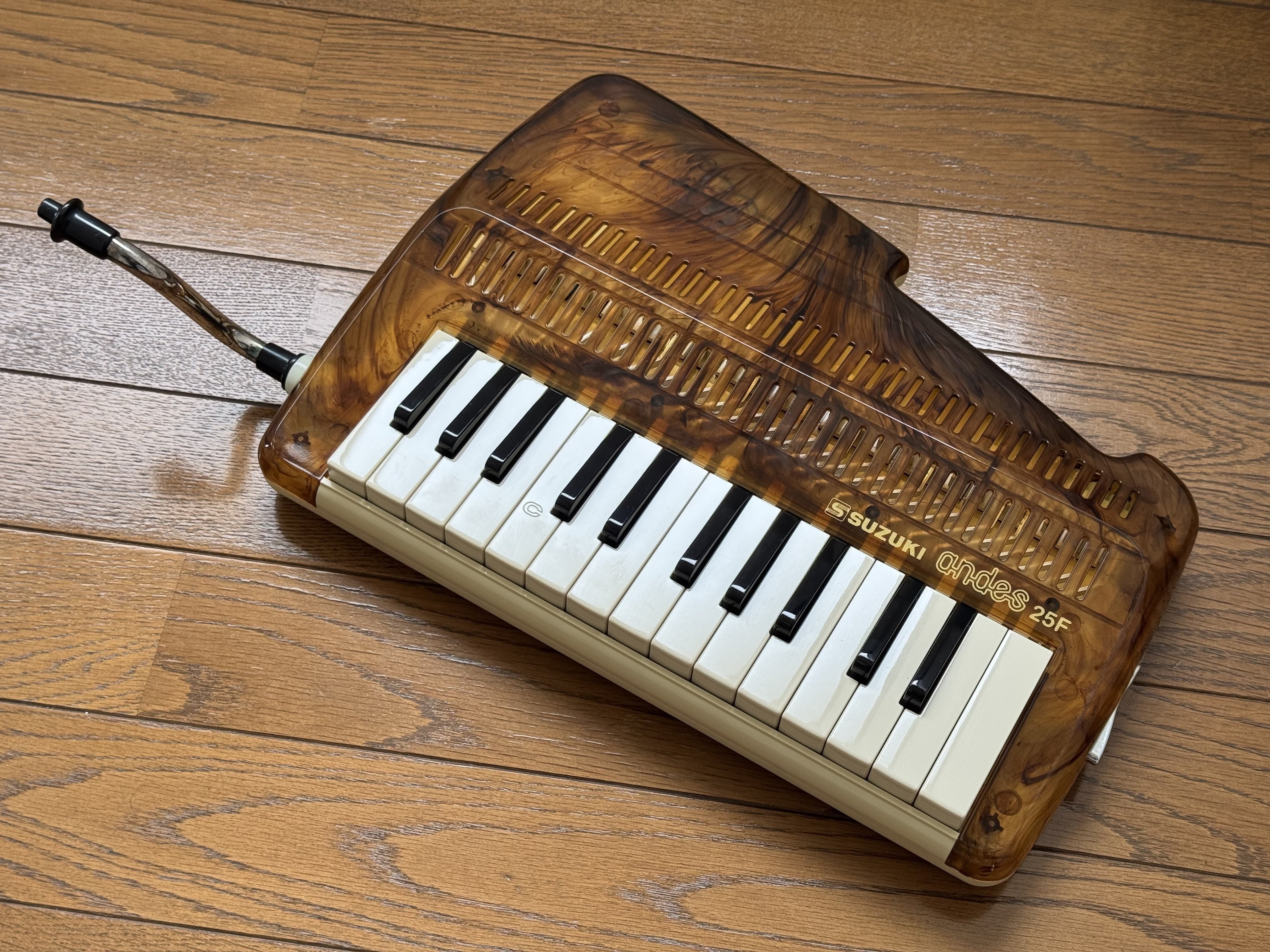 べっ甲柄の andes 25F｜まんぼう