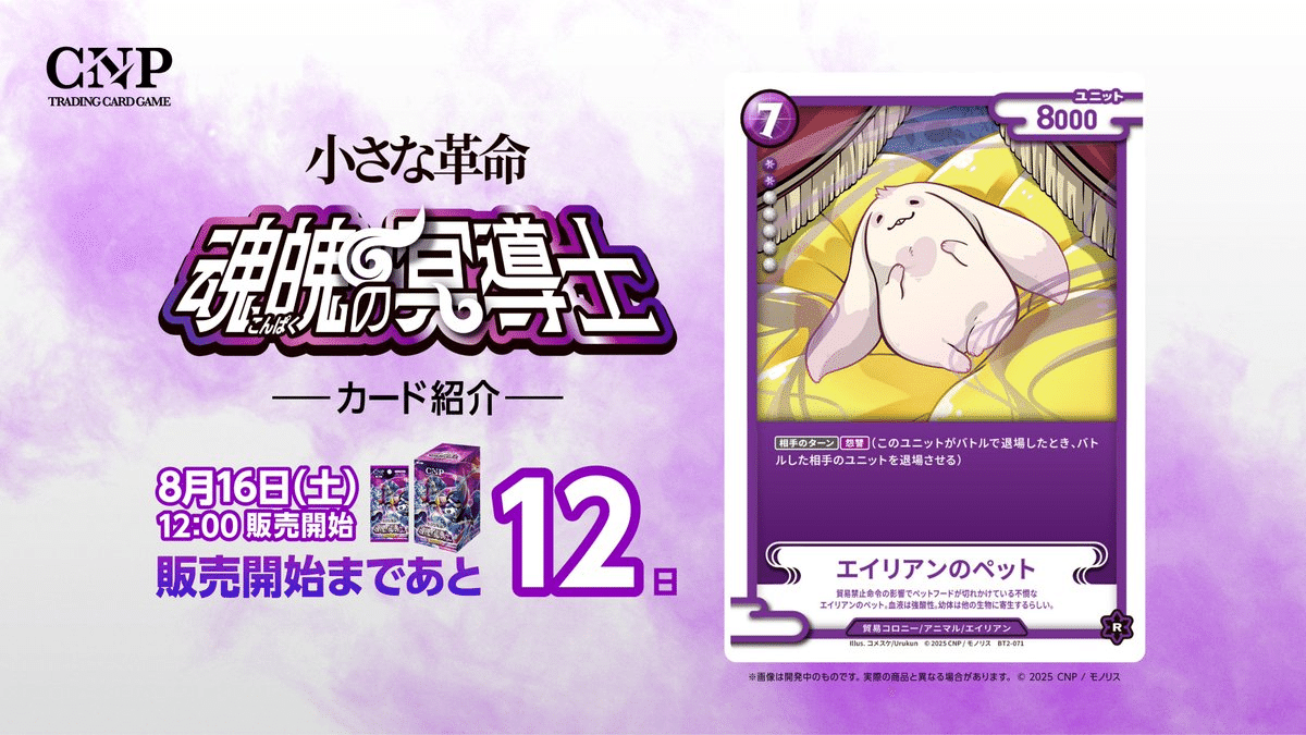 CNPトレカ 謎の少女 パラレル