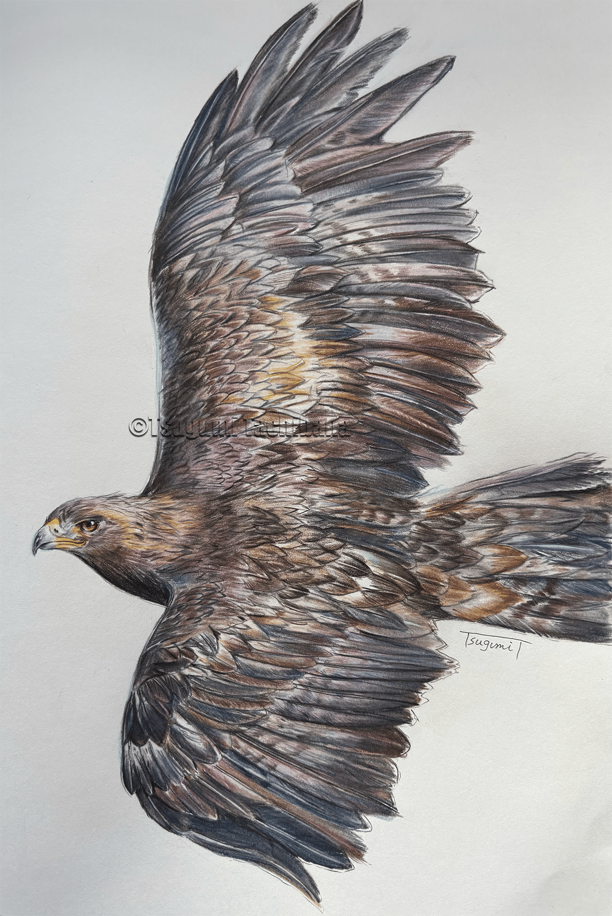 油絵 Alles Gute 仲良く集まるくちばしの小さな鳥たち 2 油絵 Alles