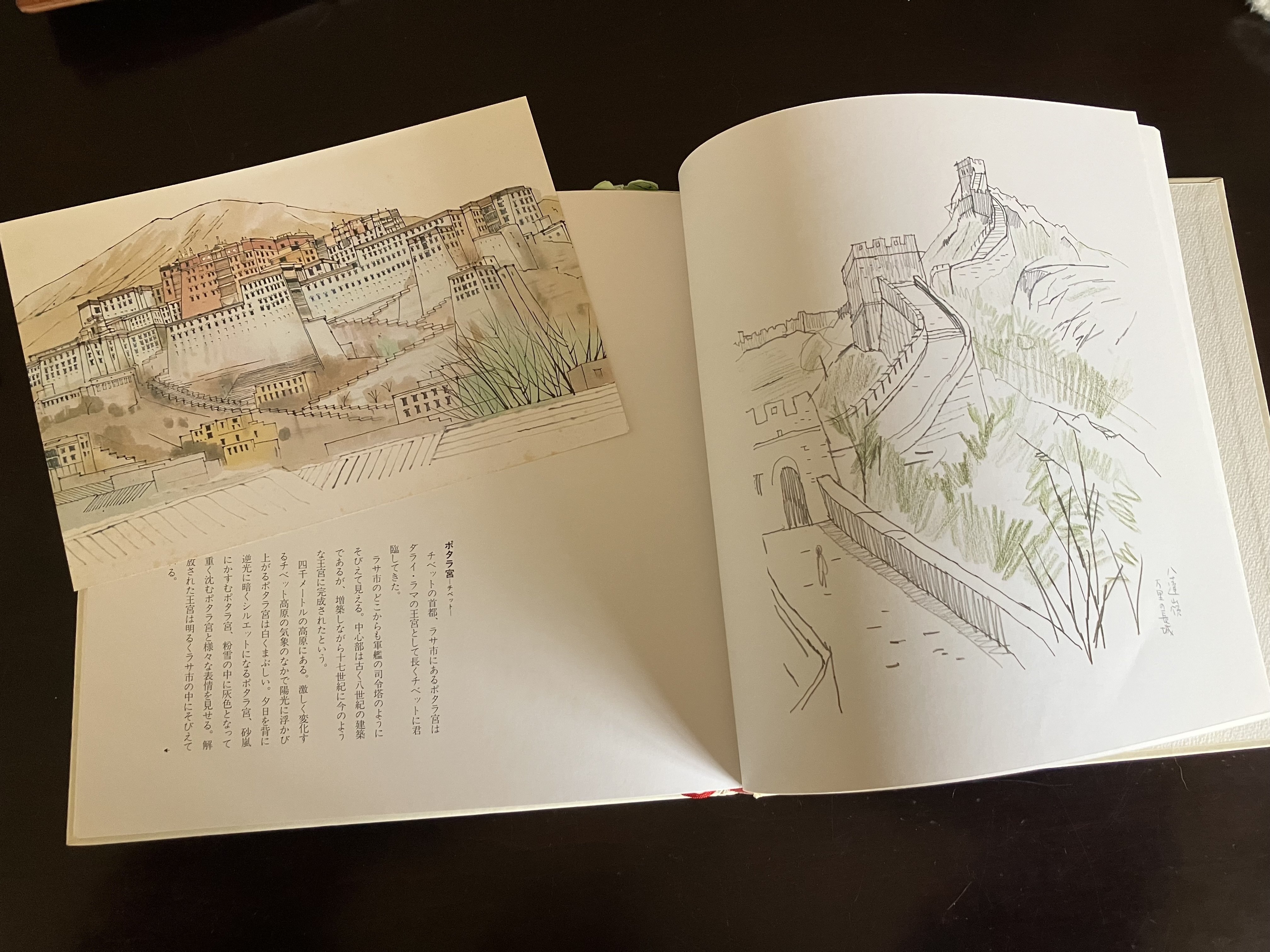 現代日本画素描集を旅する｜きまだへくこ