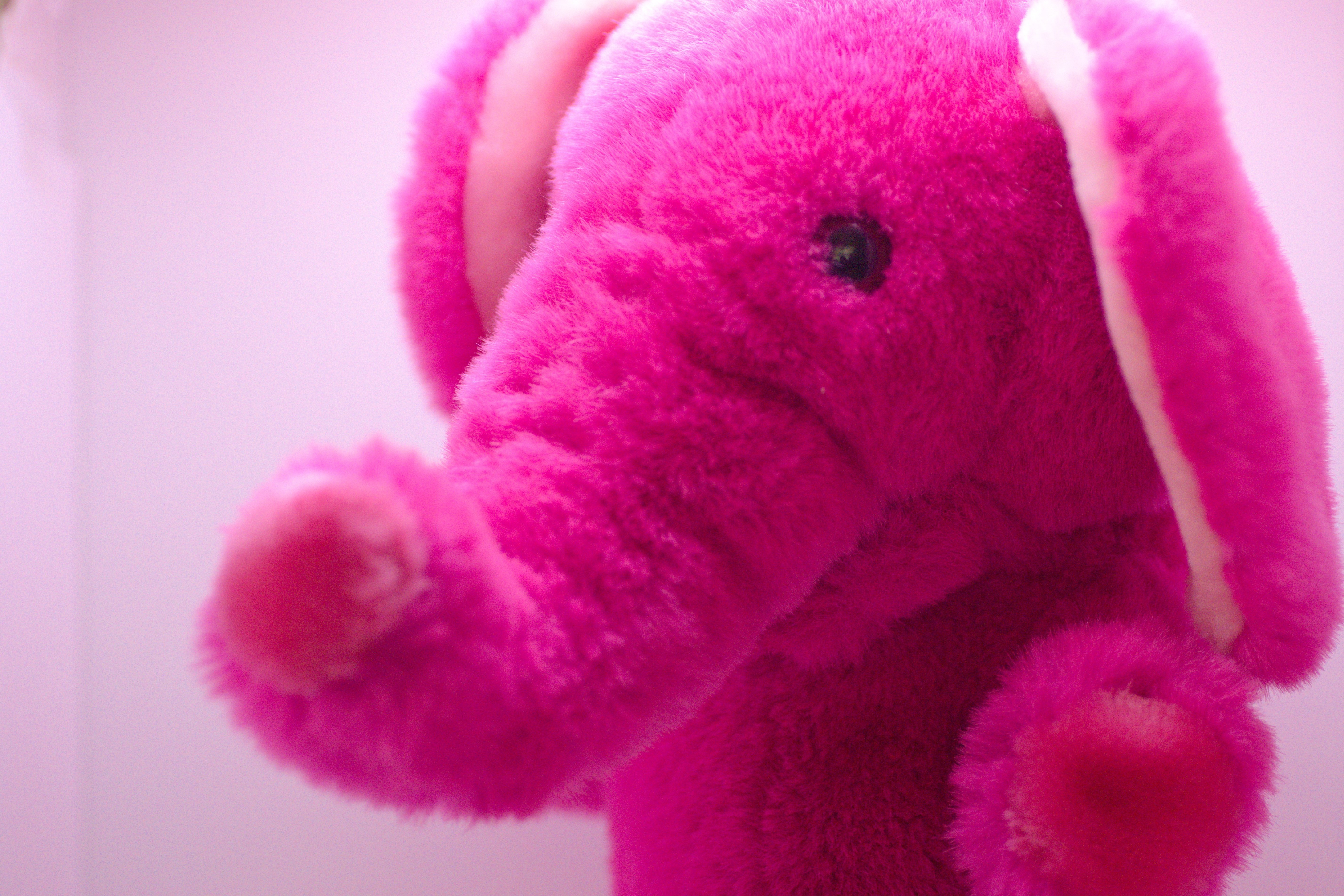 プレイトーキン｜かずい