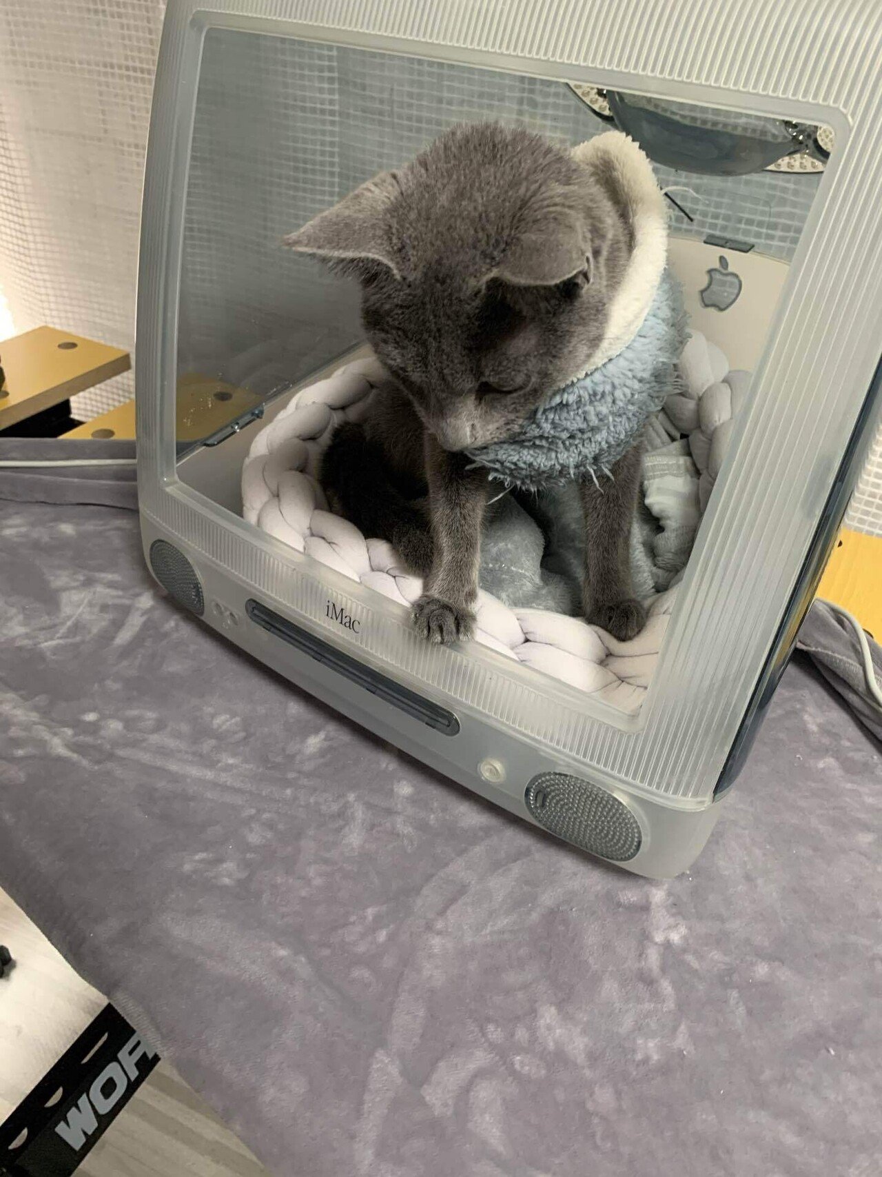 初代iMac 猫ハウス リメイク商品 初代iMacをリメイクした猫ハウスが