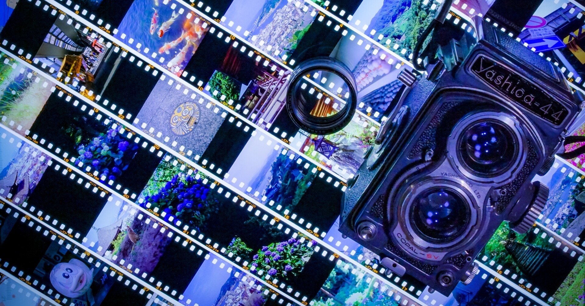 dbe1f339e0ccee9a3a2e0218e6bca5