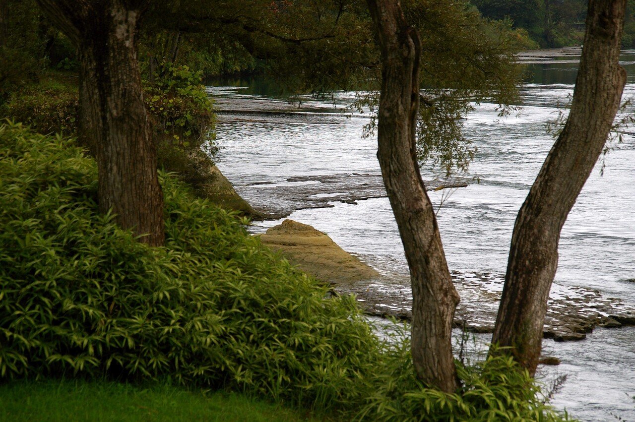 宮沢賢治 二枚貝の化石 イギリス海岸 宮沢賢治二枚貝の化石イギリス海岸
