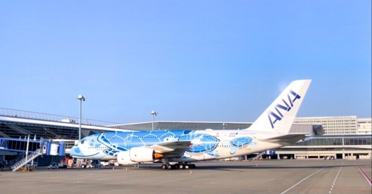 うなりさん確認用ANAフライングホヌ約50cm うなりさん確認用ANA