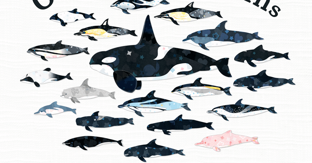 クジラとイルカの仲間を描いてまとめたよ｜キクチミロ