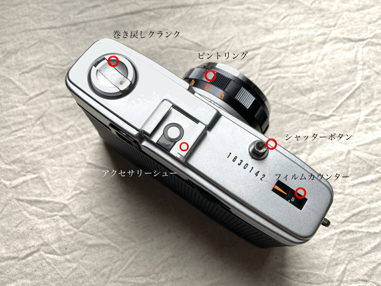 OLYMPUS TRIP 35｜tayutau kakera