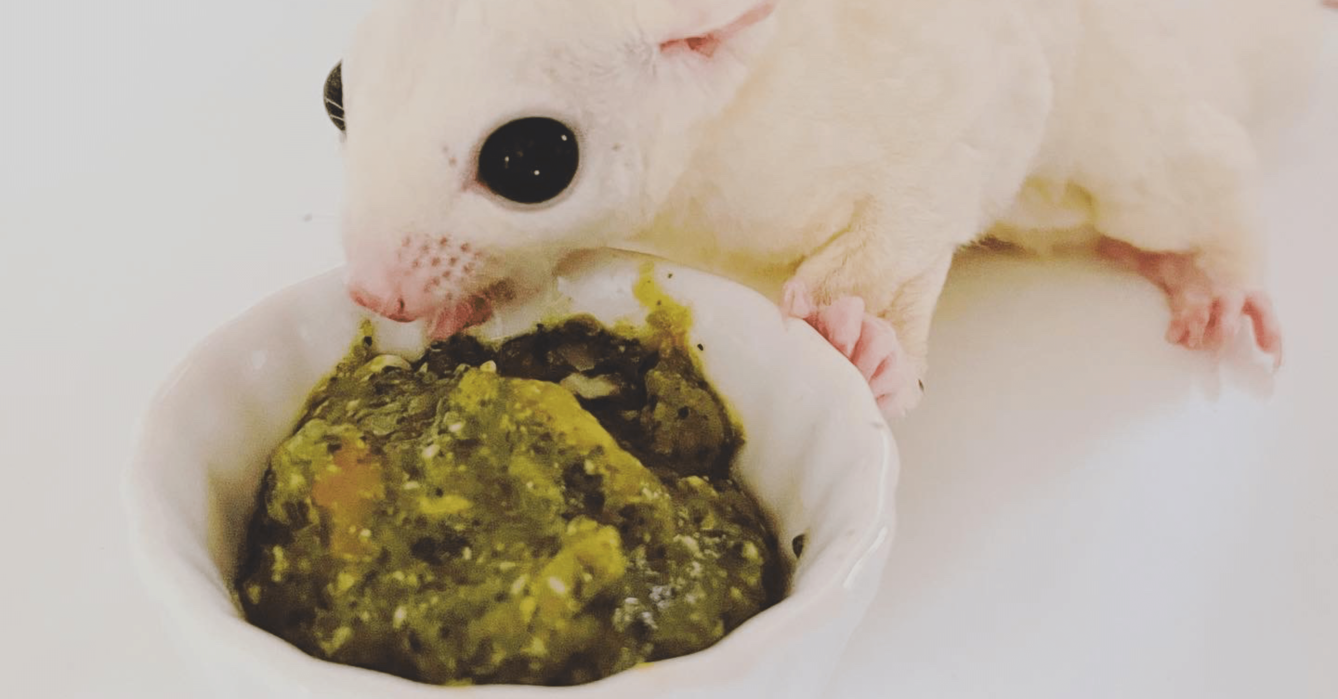 2f03d8b6bfbad0f26912207c62b970