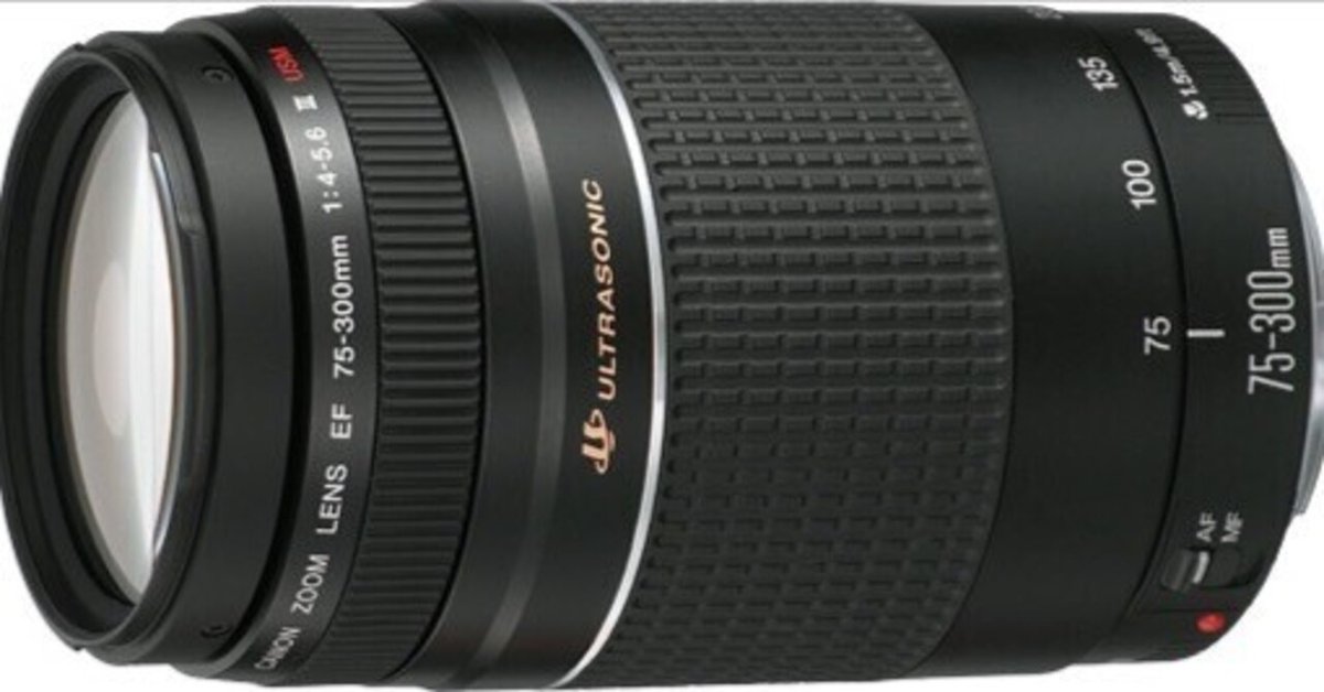 超望遠レンズ/デジタル一眼レフカメラ Canon EF75-300 mm デジタル一眼