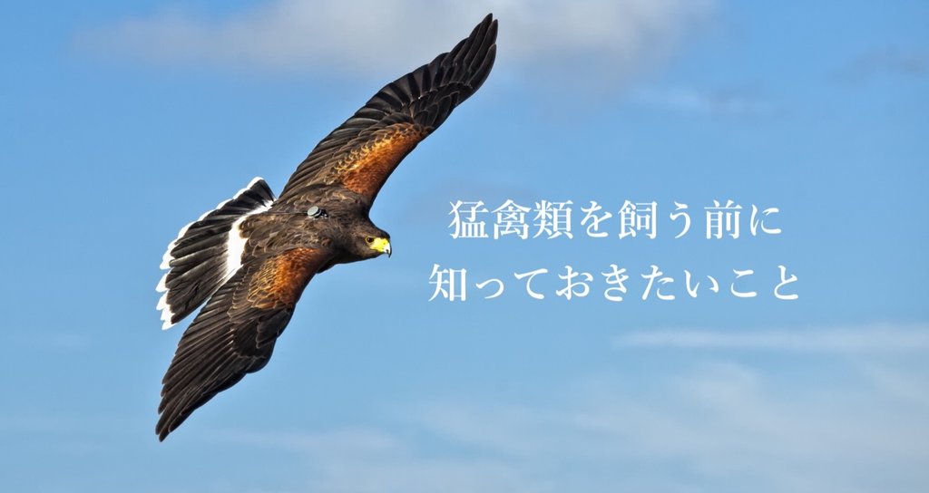 4232 外国切手 イギリス 2003年 猛禽類 フクロウとハヤブサ 10連刷