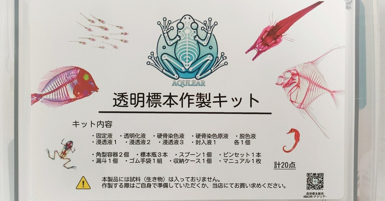 オリジナル商品【透明標本作製キット】(上級) 20点 自由研究 学習教材