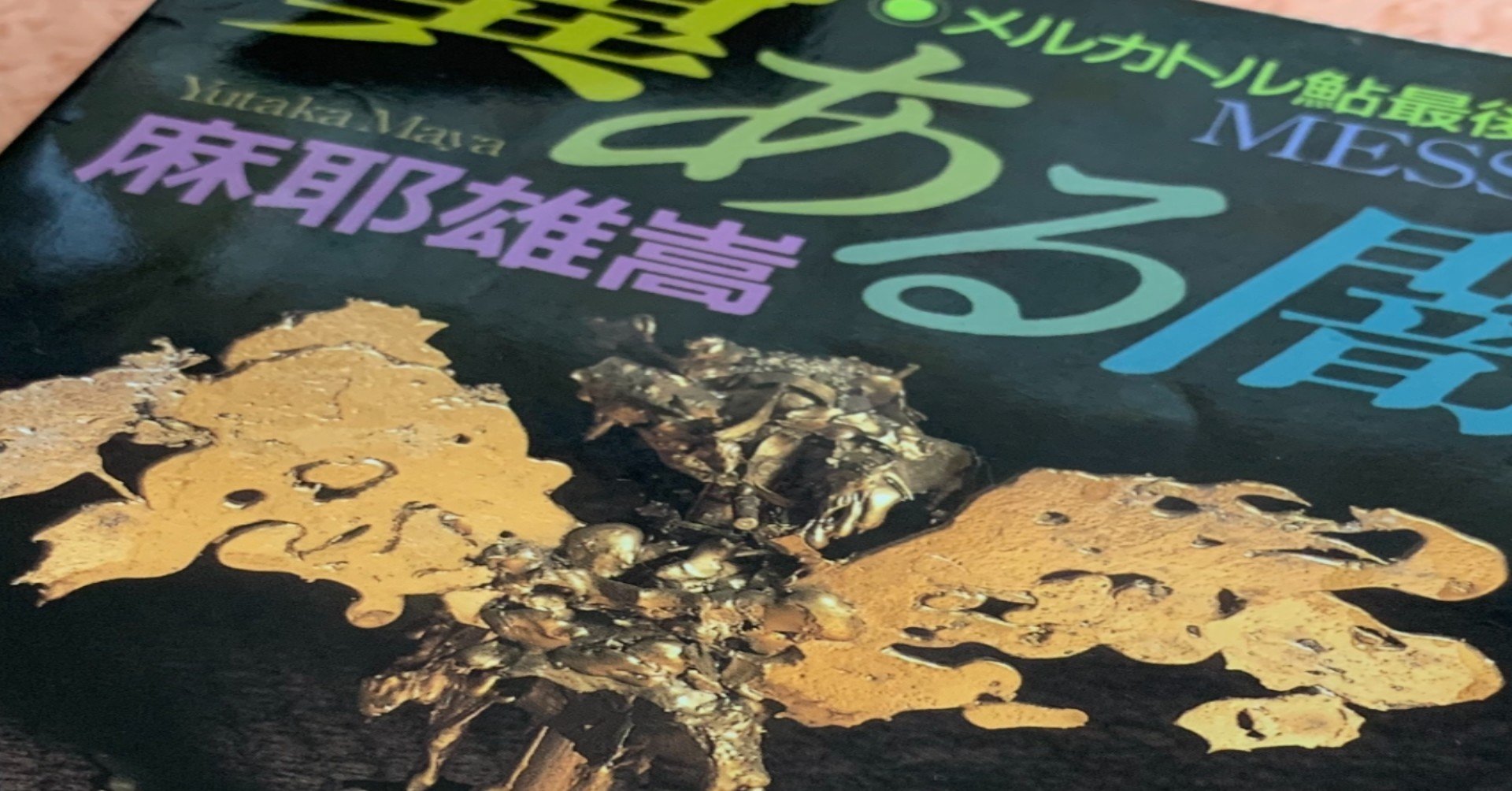 ミステリーレビュー】翼ある闇 メルカトル鮎最後の事件/麻耶雄嵩（1996