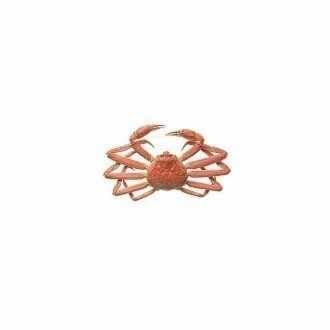 えびっしゅ こうきくん｜味噌煮込みうどん