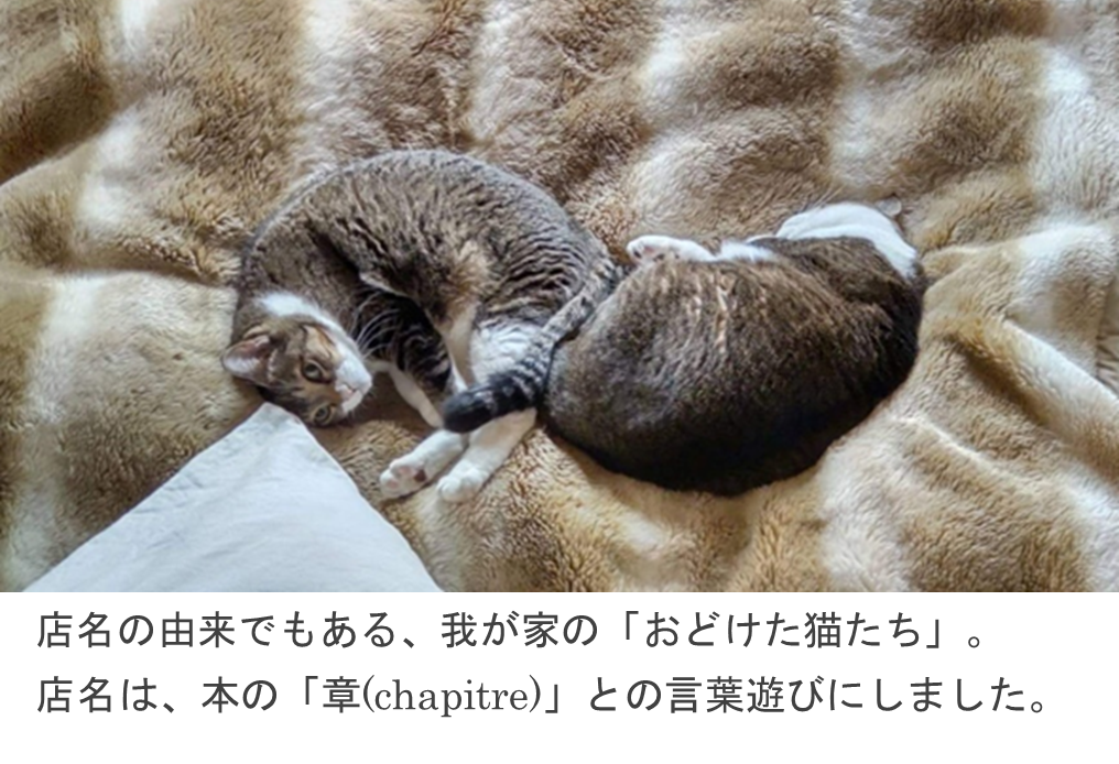 仏検だより】仏検とフランス語書籍とおどけた猫たち - 仏検のAPEF