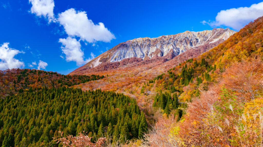 daisen-autumn-image-thumb-