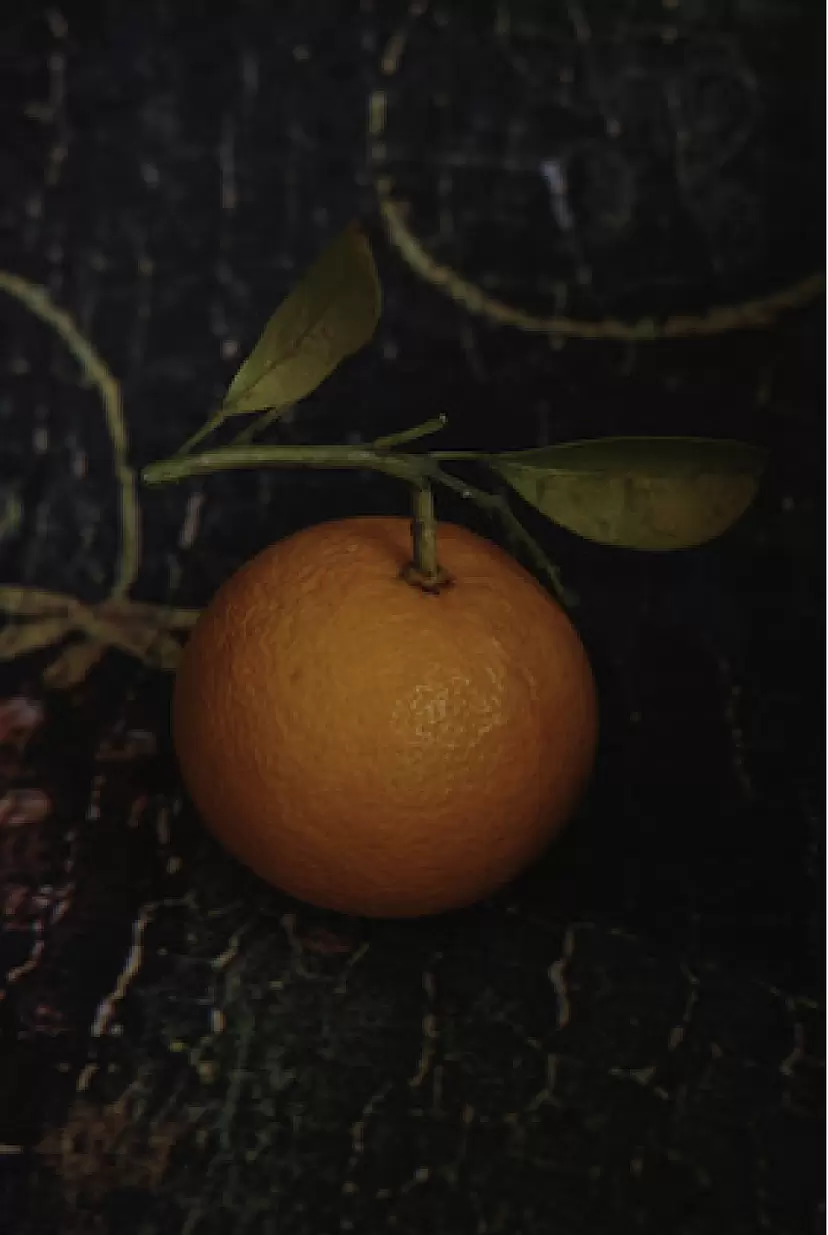 Untitled by 上田 義彦 | 現代アートの販売・通販 | ArtSticker