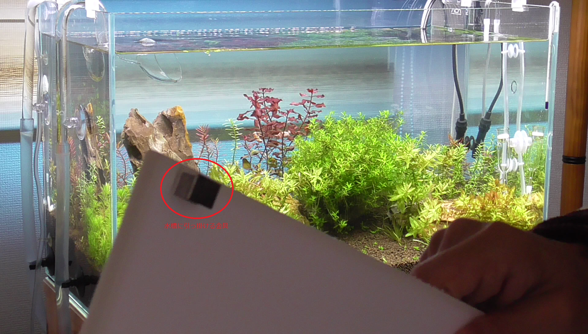 アクア製品レビュー：ADA ライトスクリーン 60 を10ヵ月使ってみて