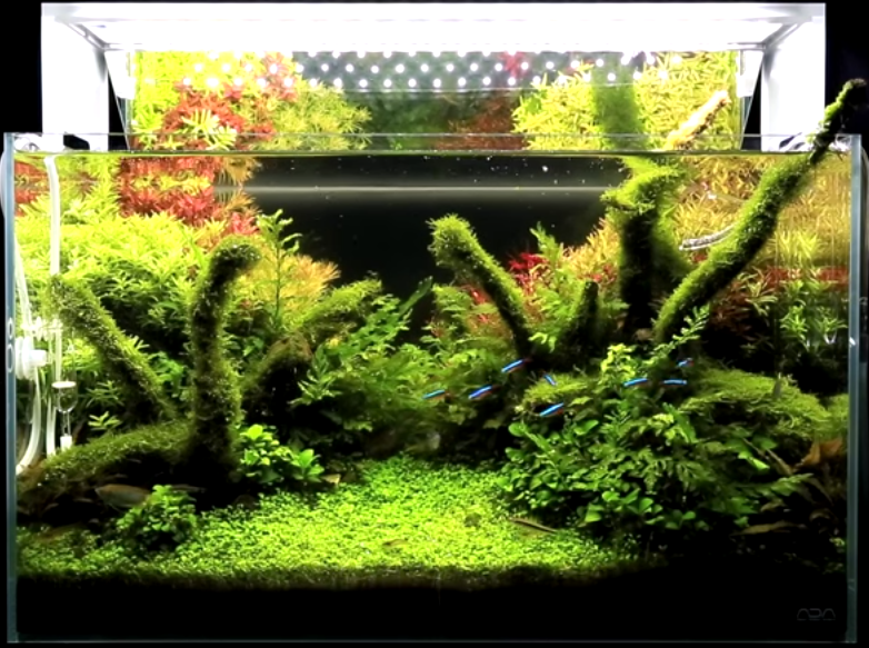 アクア製品レビュー：連邦軍の新兵器? ADA アクアスカイ・ムーン 601