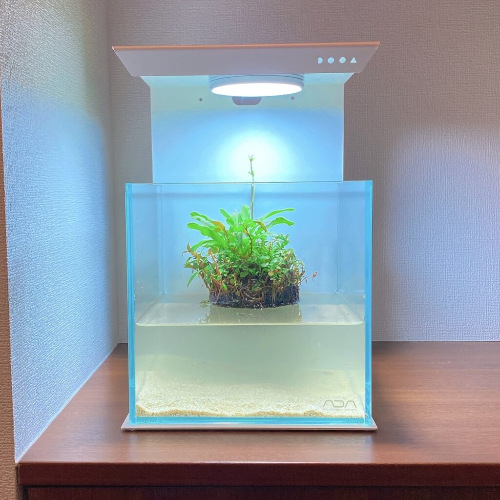 DOOAのマグネットライトスタンドの感想・レビュー - あくろぐ。