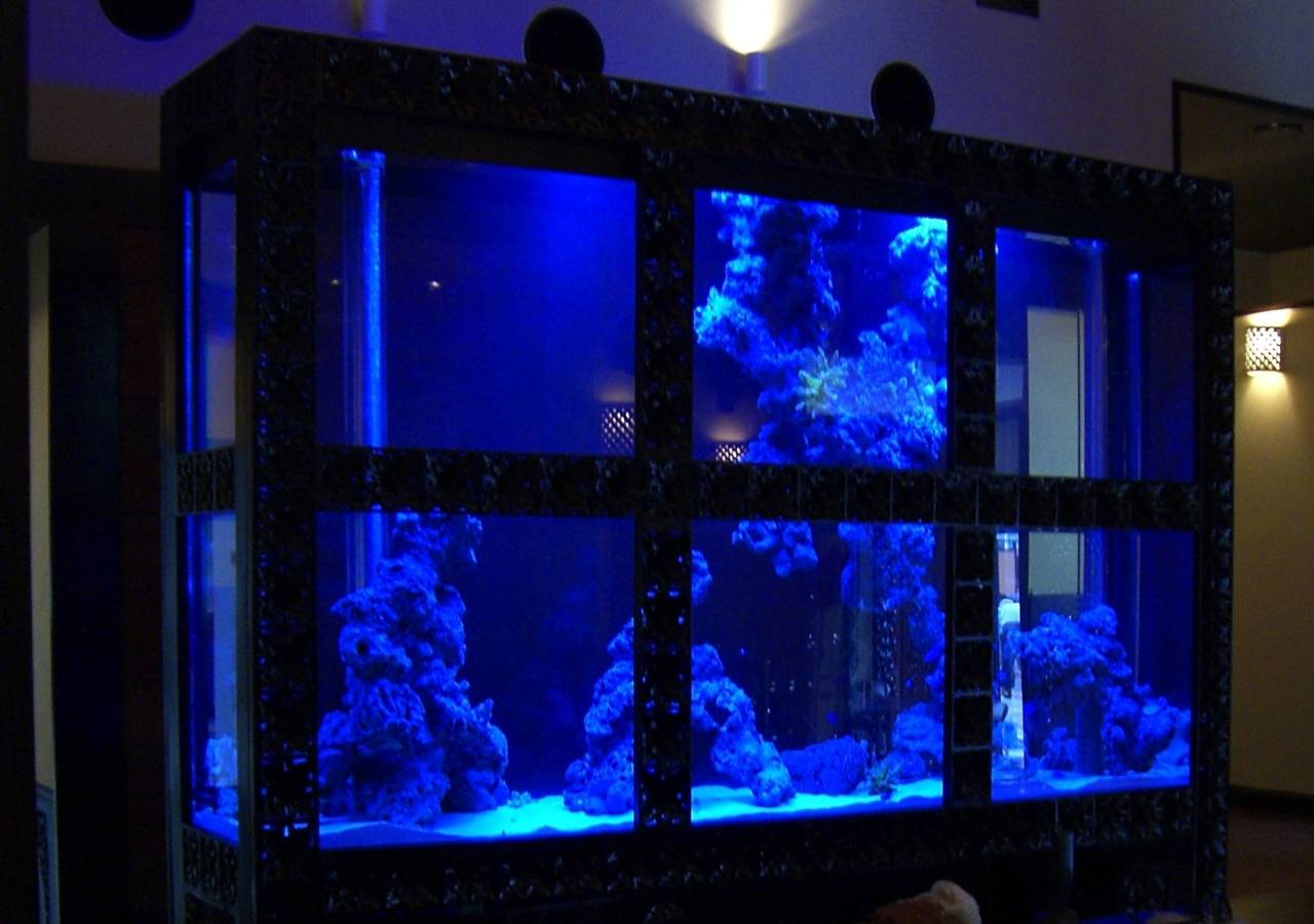 高品質・透明度の高い オーダーメイドのスペリア水槽 No.2 】 ADA