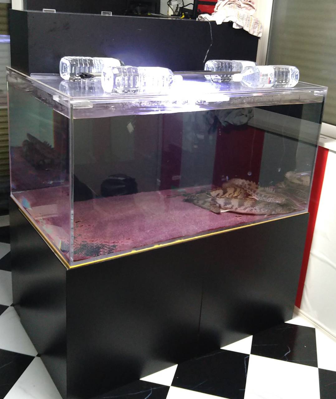 1500×600×600 大型アクリル水槽 1500×600×600アクリル水槽のおすすめ