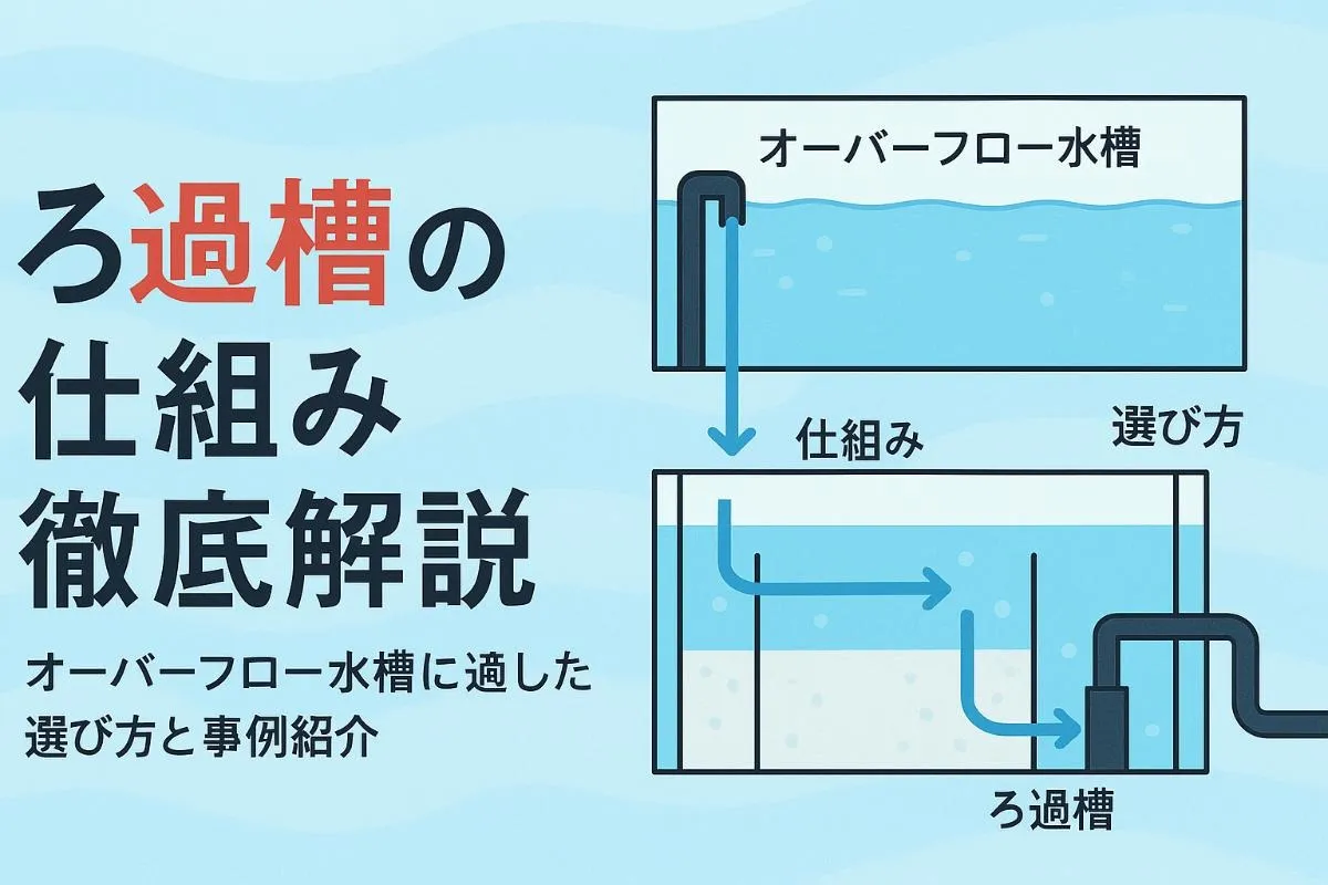 オーバーフロー水槽の濾過槽の基礎と仕組み徹底解説！失敗しない選び方